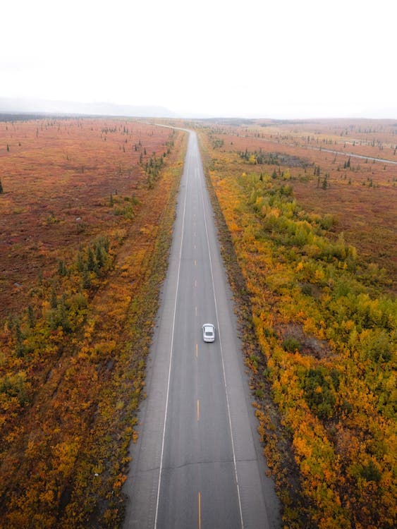 Highway in Alaska representing accident laws and legal requirements