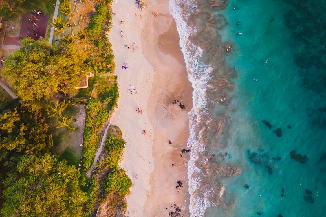 Highway in Hawaii representing accident laws and legal requirements