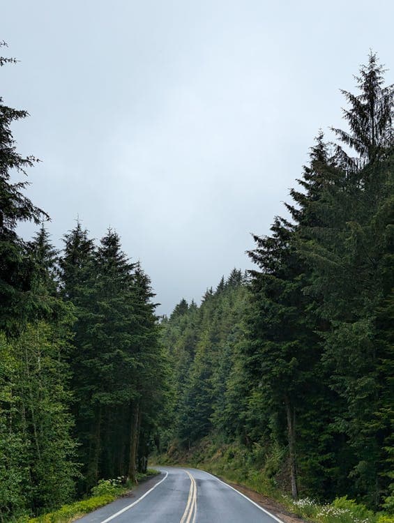 Highway in Oregon representing accident laws and legal requirements
